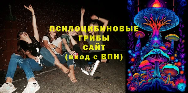 амф Богородицк