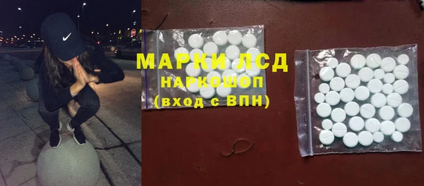 шишки Заречный