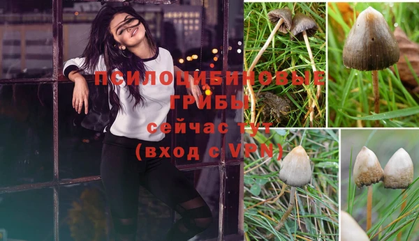амф Богородицк