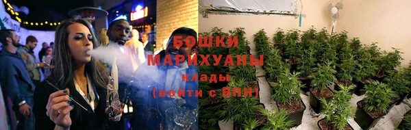 прущие крисы Богданович