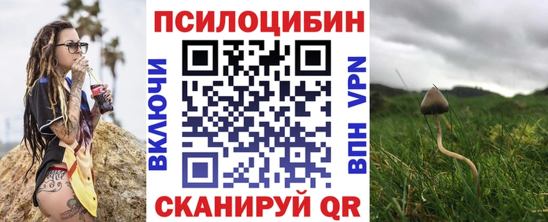 Псилоцибиновые грибы GOLDEN TEACHER  Горно-Алтайск 
