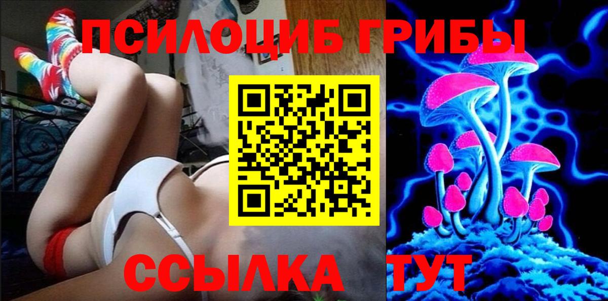 Псилоцибиновые грибы Cubensis Горно-Алтайск