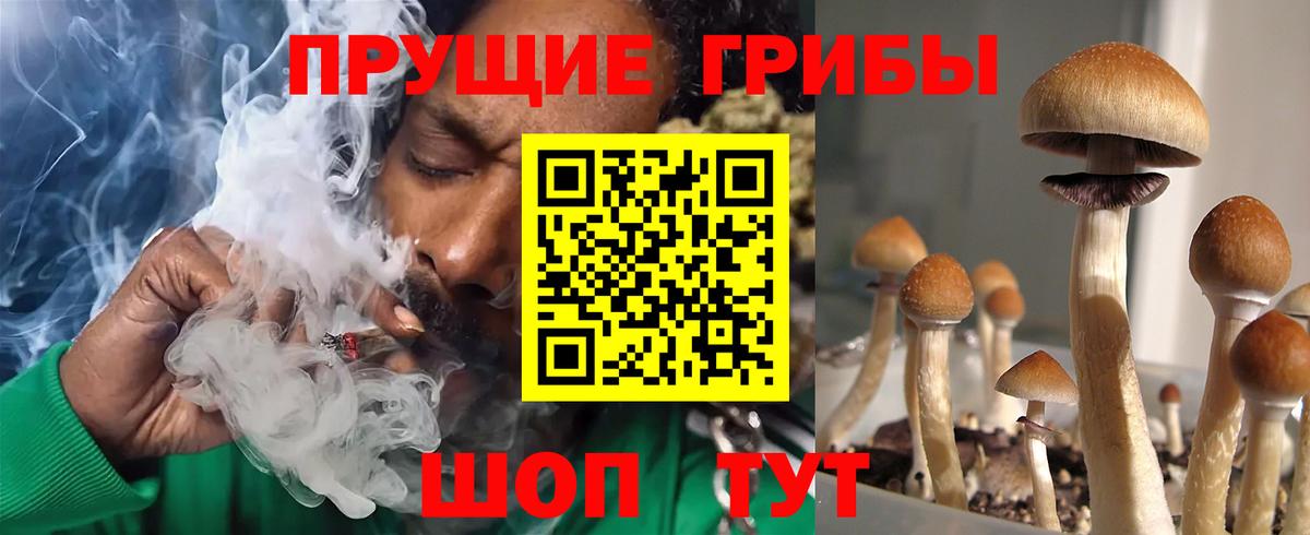 Псилоцибиновые грибы мицелий  Вход с VPN  Горно-Алтайск 